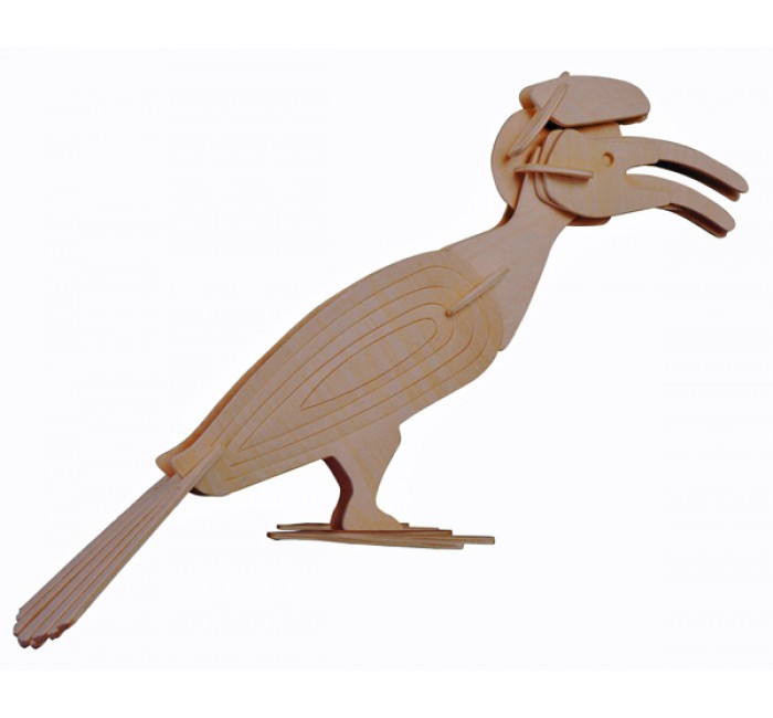 Näshornsfågel - Hornbill